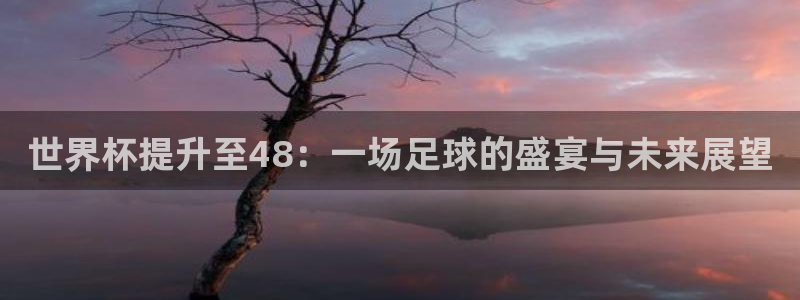 2026年世界杯赛程时间表格:世界杯提升至48:一场足球的盛宴与未来展望