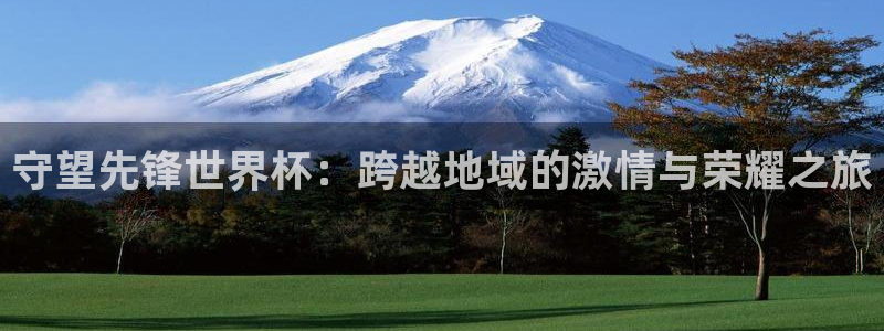 亚洲杯比赛直播:守望先锋世界杯:跨越地域的激情与荣耀之旅