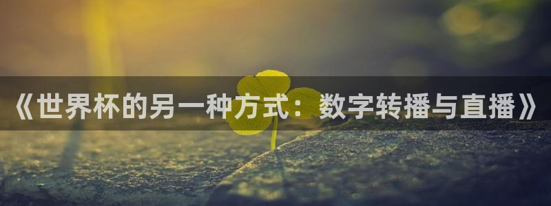 2026年世界杯赛程时间表格:《世界杯的另一种方式:数字转播与直播》