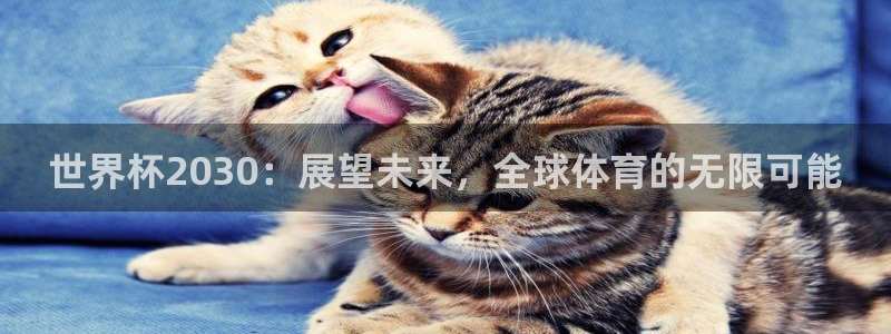 欧洲世界杯预选赛赛程:世界杯2030:展望未来,全球体育的无限可能