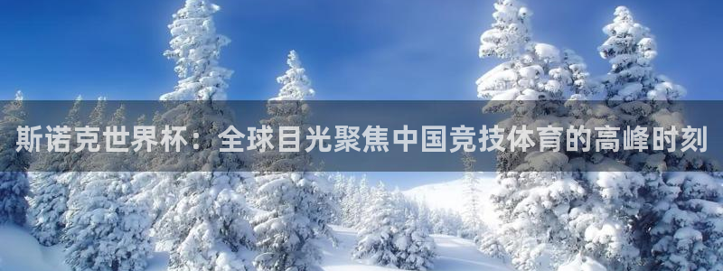 世界杯预选赛:斯诺克世界杯:全球目光聚焦中国竞技体育的高峰时刻