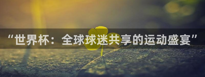 世界杯葡萄牙赛程:“世界杯:全球球迷共享的运动盛宴”