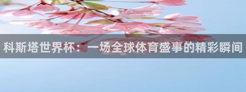 今天所有足球赛程表:科斯塔世界杯:一场全球体育盛事的精彩瞬间