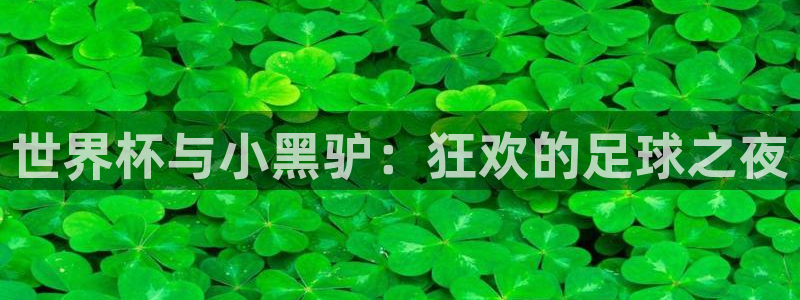 世界杯预选赛2026:世界杯与小黑驴:狂欢的足球之夜